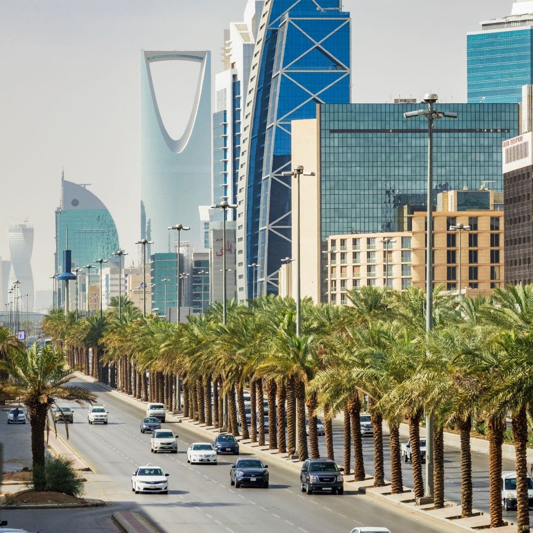 Saudi leadership imagery