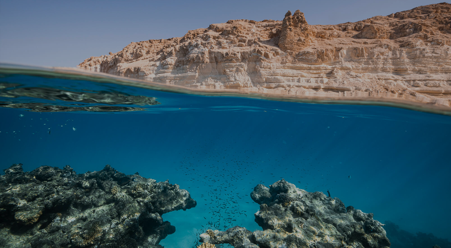 Underwater Red Sea